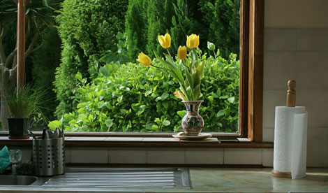 Photo of home